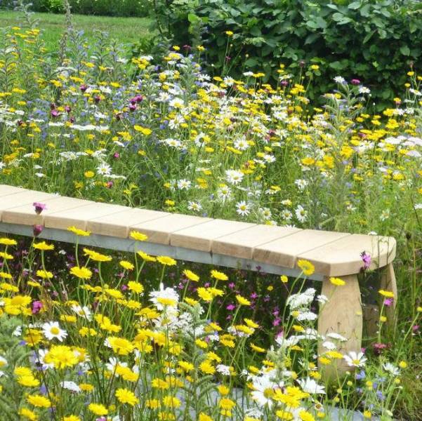 Lindum Wildflower Turf - Wildflower Turf