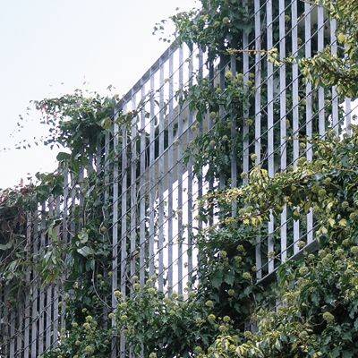 Genoa Fencing - Steel grating fence, green wall frame