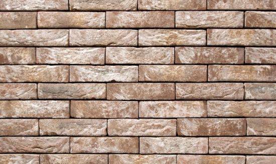 Anicius - Clay Facing Brick