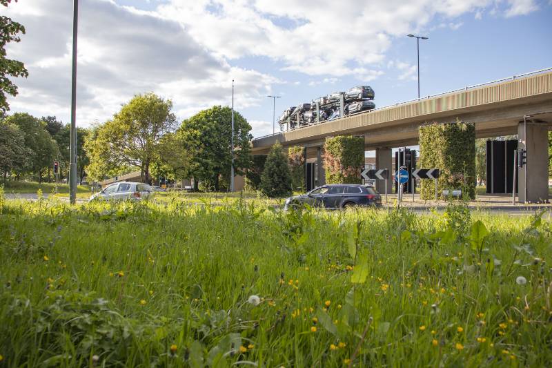 Biotecture Highway Living Wall, southampton