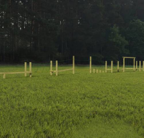 Fernhurst Trail Playground Structure - Playground equipment and trim trail