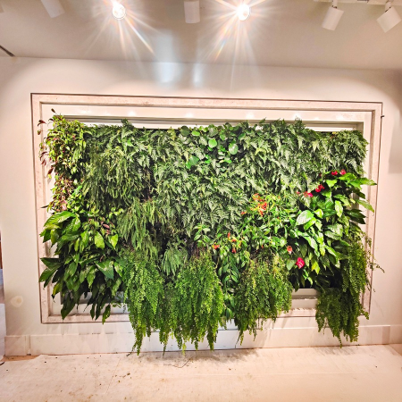 Living walls