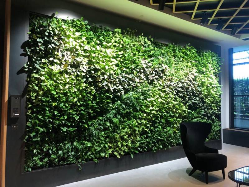 HYVERT + Premium - Living Wall System