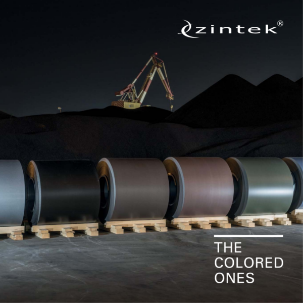 Zintek - The Coloured Ones