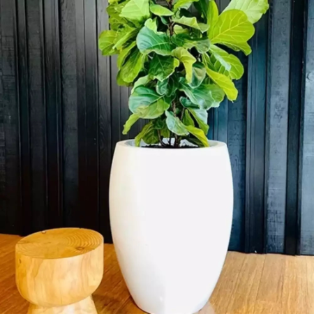 Planter, frø og løker