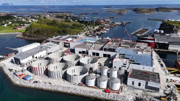 Nova Sea, nytt lakseslakteri