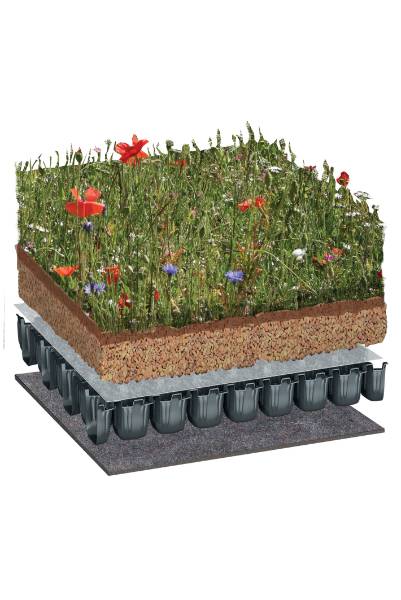 BauderEXTENSIVE PLANTsubstrate WB Native Wildflower Blanket Green Roof System, Flat Roof