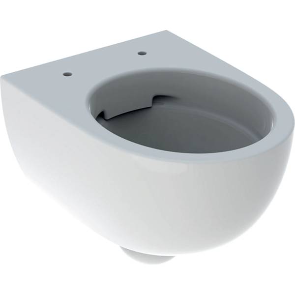 Selnova Compact Wall-Hung WC, Washdown, Small Projection, Shrouded, Rimfree