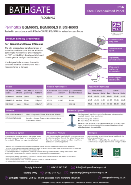 BGM600S Datasheet