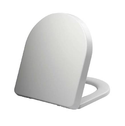 Langley Soft Close Toilet Seat and Cover