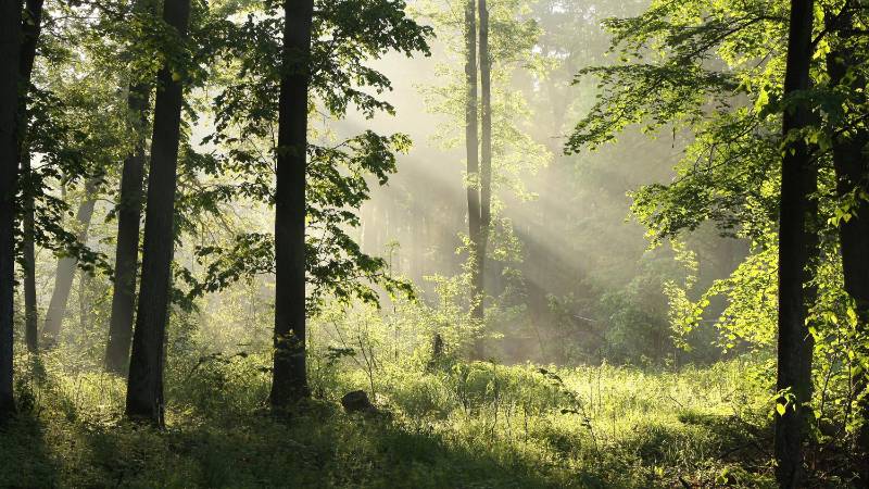 Designing for Circularity