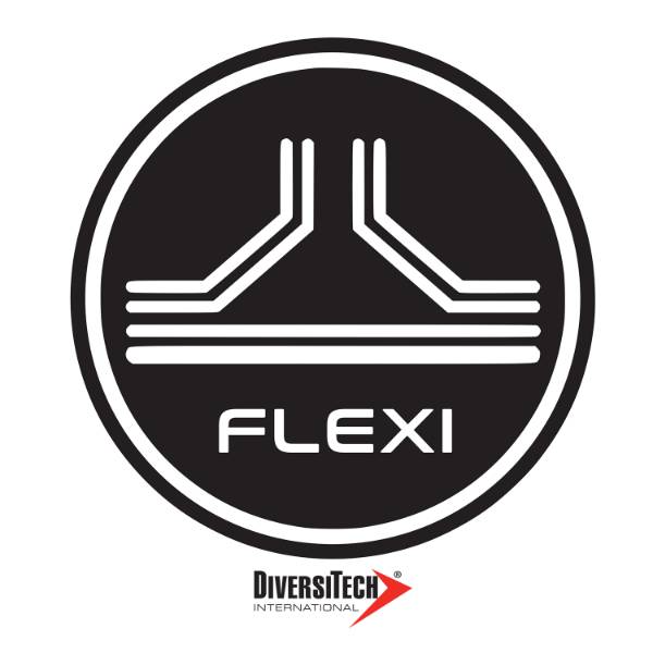 Flexi Support Systems at DiversiTech International Ltd