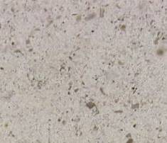Moleanos Sablino Limestone Paving