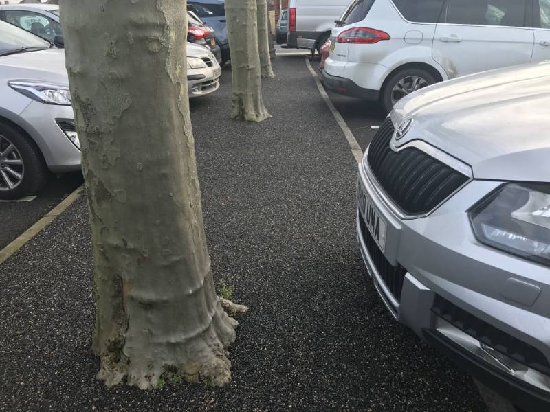 Recycled FlexiSet installed around Car Park Tree Islands in the Town Centre of Fordingbridge, Hampshire.