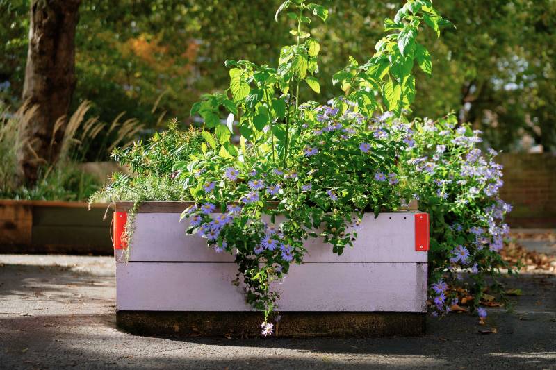 Phoenix Road Planters